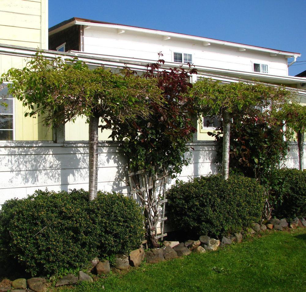 Pacific City Inn Exterior photo